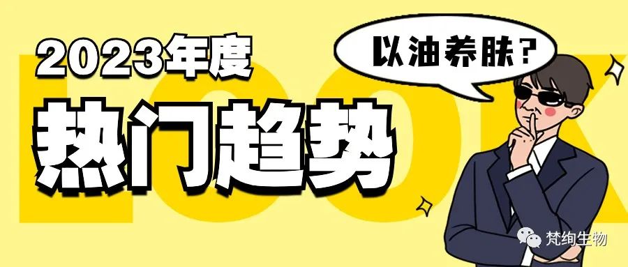 01 Blog